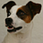 Profile Picture of Mango Wee (@mango22) on Flickr