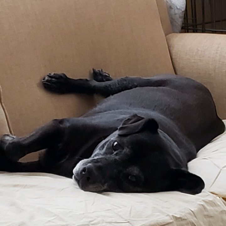 Profile Picture of Erin McCoy (@erincmccoy) on Tiktok