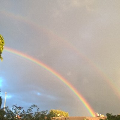 Profile Picture of Sam McCarthy (@simonmccarthy4) on Twitter