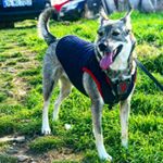 Profile Picture of MAYA WOLF (@wolf_mayaa) on Instagram