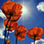 Profile Picture of Mohamed Khaled Sakr (@mohamed khaled ♥) on Flickr