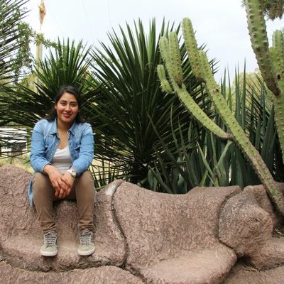 Profile Picture of Alicia Fierro  🌵 (@alisiafierro) on Twitter