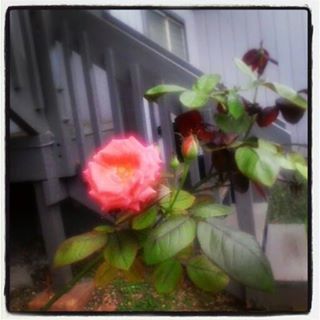 Profile Picture of Sepe Brianna Jason Etse (@nga.kephastalley) on Facebook