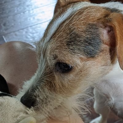 Profile Picture of Gracie's Friends Page (@friends_gracie) on Twitter