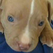 Profile Picture of Rylee Cassavant (@ryleecassavant7593) on Youtube