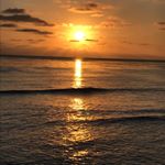 Profile Picture of Todd Mickle (@todd_mickle) on Instagram