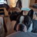 Profile Picture of Susanne Hannemann (@Susanne-Hannemann) on Facebook