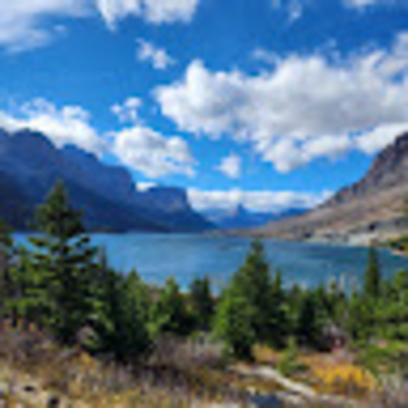 Profile Picture of Tamara Falk (@tamaralcf) on Poshmark