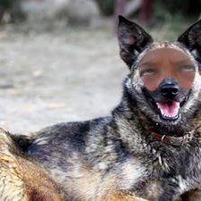 Kevin - Twitter Profile Picture of Kevin (@kevin_heit) on Twitter