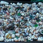 Profile Picture of jeffrey gonsalves (@gonsalvesjeffrey) on Instagram