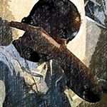 Profile Picture of Demetrius Waters (@demetrius.waters.3) on Instagram