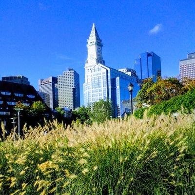 Profile Picture of Brian David Sica (@sica_brian) on Twitter