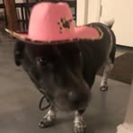 Profile Picture of Iris Weber (@Iris-Weber) on Facebook