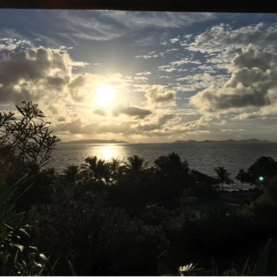 Profile Picture of Nick Scala (@nscala16) on Twitter