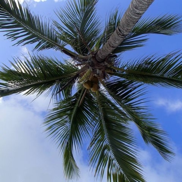 Profile Picture of Gerald Matechuk (@geraldmatechuk) on Poshmark