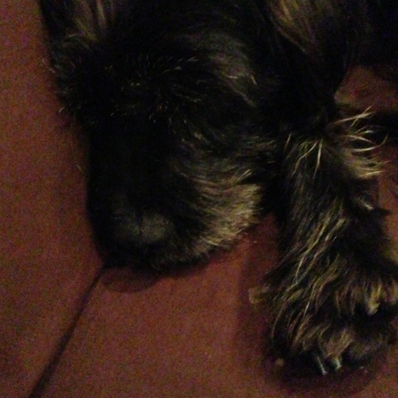 June Sullivan - Poshmark Profile Picture of June Sullivan (@junec) on Poshmark