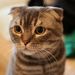 Profile Picture of All About Wine (@eugenem123) on Pinterest