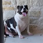 Profile Picture of Corey Schulze (@Corey-Schulze) on Facebook