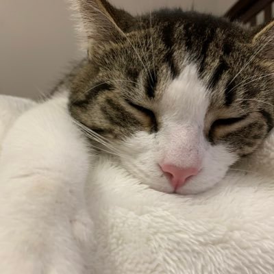 Profile Picture of Li (@LiJian29) on Twitter