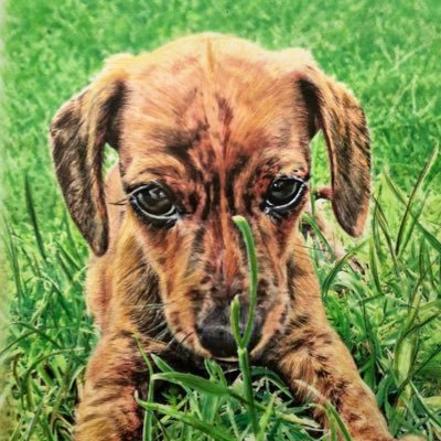 Profile Picture of Dani Davis (@danidavisart) on Twitter