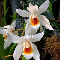 Bernous Stephanie - Quora Profile Picture of Bernous Stephanie (@bernous-stephanie) on Quora