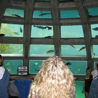 Profile Picture of Stacey Hutchison (@Whi_Max) on Twitter