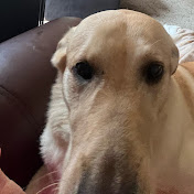 Profile Picture of Amanda Curtis (@amandacurtis3676) on Youtube