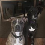 Profile Picture of Michael Cotten-Ward (@santosnchico) on Instagram