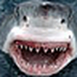 Profile Picture of Jesse Moreno (@King Jeso) on Flickr