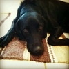 Profile Picture of Shane Crabtree (@@captainshaneo) on Tiktok