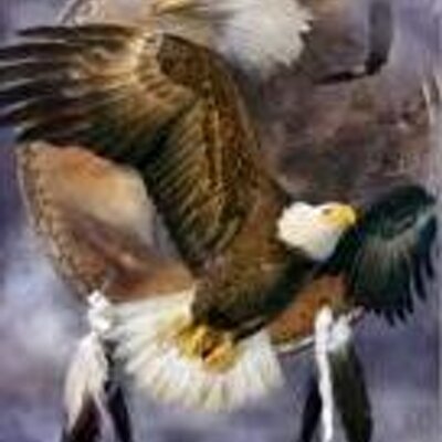 Hunter Noble Neilson - Twitter Profile Picture of Hunter Noble Neilson (@LyzesLegacy) on Twitter