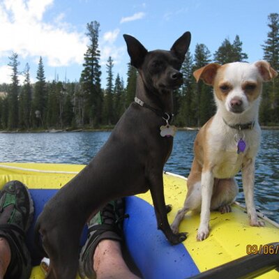 Profile Picture of Scott Wirth (@scottwirth007) on Twitter