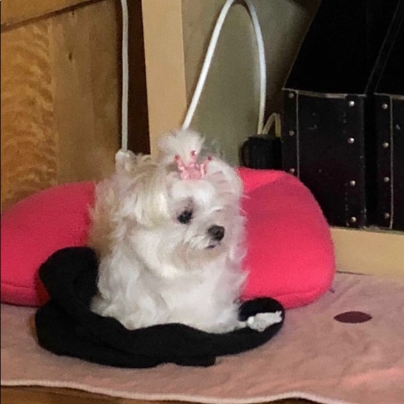 Profile Picture of Hye Lee (@hye_lee) on Poshmark