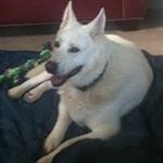 Profile Picture of Collin Harper (@collin.harper.18) on Instagram