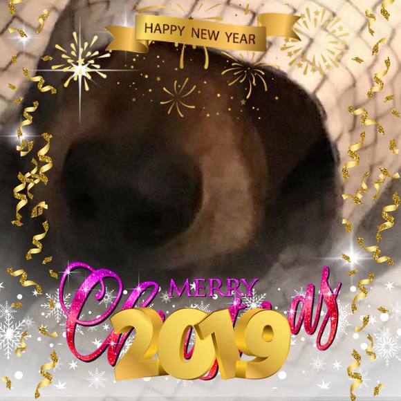 Cannolli Caruzzo - Poshmark Profile Picture of Cannolli Caruzzo (@cannoli14) on Poshmark