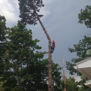 Profile Picture of Ethan Wojda (@ethanwojda) on Instagram