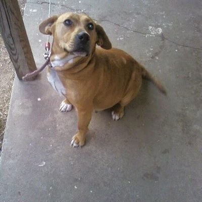 James Shehan - Twitter Profile Picture of James Shehan (@cornbread196678) on Twitter