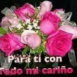 Profile Picture of Nancy Favatier (@nancyfavatier) on Instagram