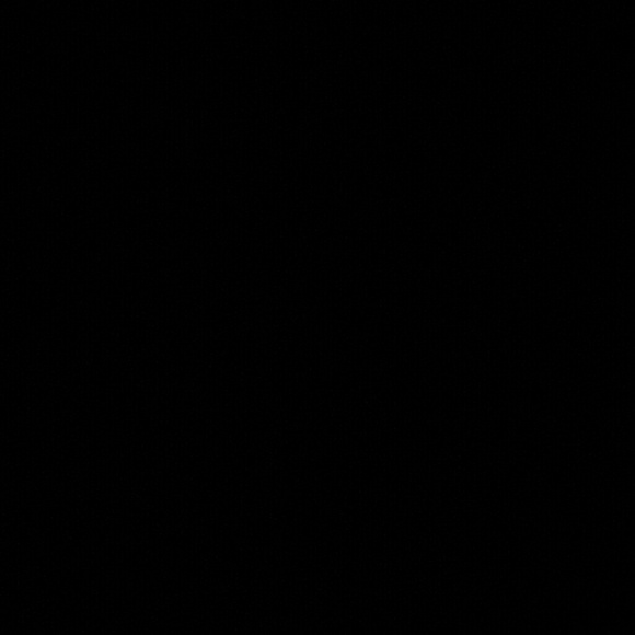 Profile Picture of Doris Vasquez (@dolphingrl007) on Poshmark