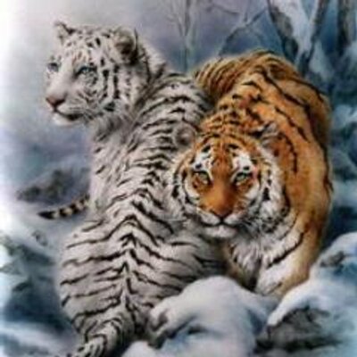 Profile Picture of Barbara Crain (@Cherokee55Crain) on Twitter