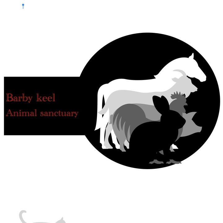 Profile Picture of Barby keel animal sanctuary (@barbykeel) on Tiktok