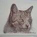 Profile Picture of Freehand Trace (@freehand.trace) on Facebook