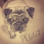 Profile Photo of Katie Horne (@petemporium_pawtraits) on Instagram