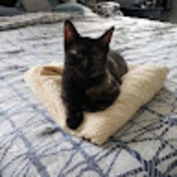 Profile Picture of Dena Mcleese (@dpidgie1) on Poshmark