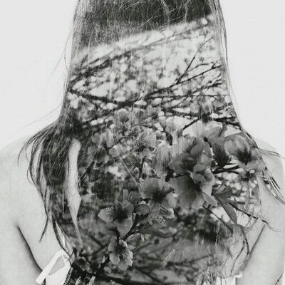 Ahmad Alizadeh - Twitter Profile Picture of Ahmad Alizadeh (@ashomanesh) on Twitter