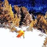 Profile Picture of Derek Appleton (@derekappleton) on Instagram