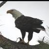Profile Picture of Mduc1 (@marcducote) on Tiktok