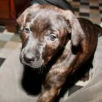 Profile Picture of Bill Boyd (@bill.boyd.562464) on Facebook