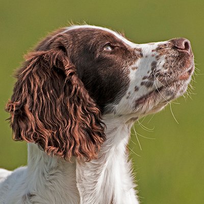 Profile Picture of Matt Limb Images (@MattLimbImages) on Twitter