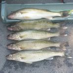 Profile Picture of Jeremy Grann (@Jeremy-Grann) on Facebook